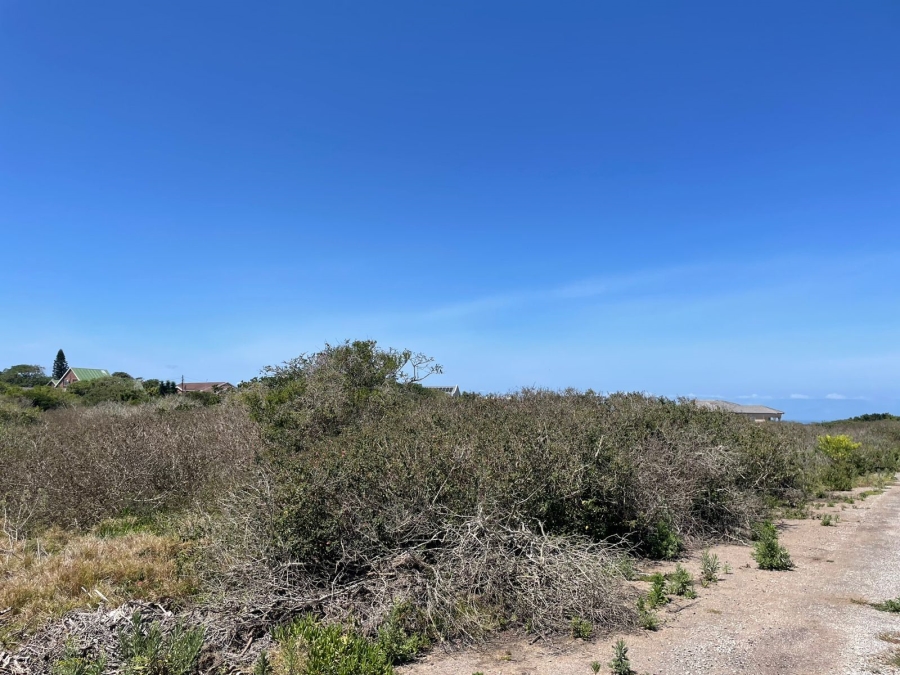 0 Bedroom Property for Sale in Forest Downs Eastern Cape